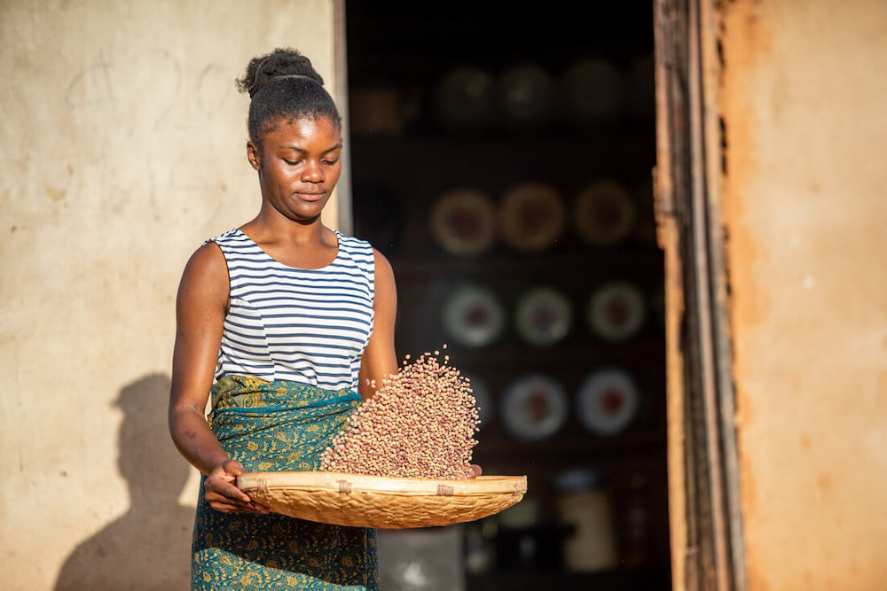 Tanyaradzwa tosses grain to remove chaff, one of her chores, at her grandmother’s home.